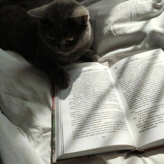 Логотип @bookraw3 - 𝐛𝐨𝐨𝐤𝐫𝐚𝐰 ✨