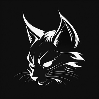 Логотип @books_n_cat - Books & Cat 🐈