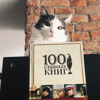 Логотип @books_shmooks - Книжки и котики