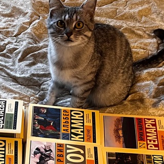 Логотип @bookworm_sv_eta4806 - bookworm_sv_eta4806