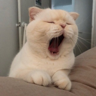 Логотип @boomfm - Boomburum.fm