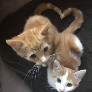 Логотип @boostshop234 - wasqt