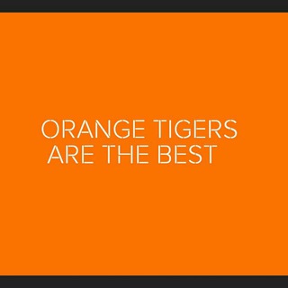 Логотип @boother - ORANGE TIGERS