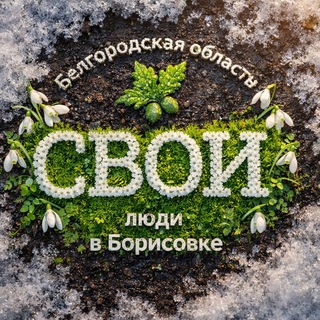 Логотип @bor_mol - Молодёжь Борисовского округа