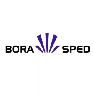 Логотип @boraspedcargo - BORA SPED грузы