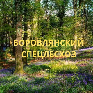 Логотип @borovlyanski_specleshoz - Боровлянский спецлесхоз Официально