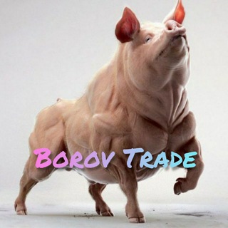 Логотип @borovtrade - Borov Trade