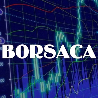 Логотип @borsacaa - Borsaca