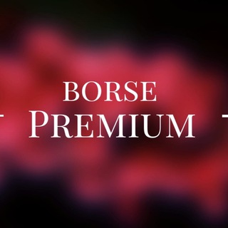 Логотип @borse_casa_premium - Borse_casa_premium
