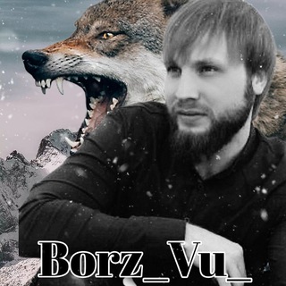 Логотип @borz_vu_95 - BORZZ