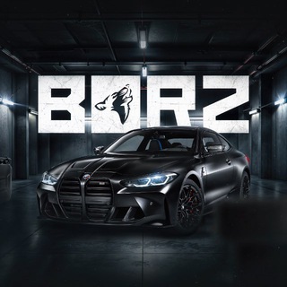 Логотип @borzauto - BORZ AUTO