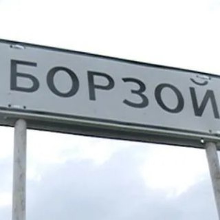 Логотип @borzoyastra - Астрахань-Борзой мобилизованные