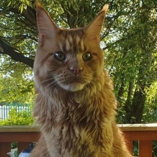 Логотип @borzykin2 - Дневник М.Б