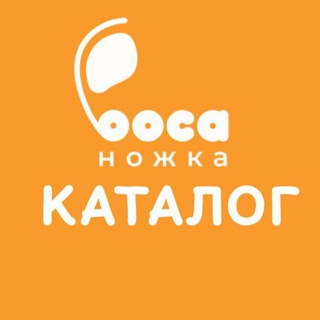 Логотип @bosanozhka_catalog - Каталог босоногой обуви