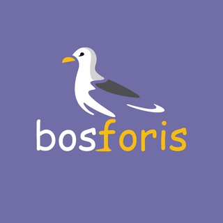 Логотип @bosforis - Bosforis | Доставим оригинальные бренды из-за границы!