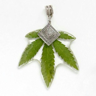 Логотип @Botanica_style - Настя Ботаника | Botanica_style