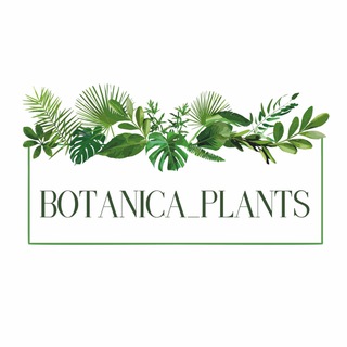 Логотип @botanica_plants - Botanica_plants