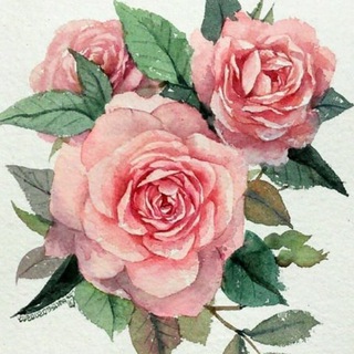 Логотип @botanical_illustrator - Ботаническая иллюстрация