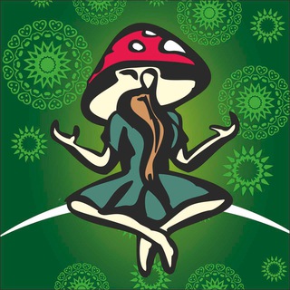 Логотип @botanika_mira - БОТАНИКА МИРА| Природные адаптогены(ежовик, кордицепс, траметес, лисичка, кора осины, пыльца сосны)