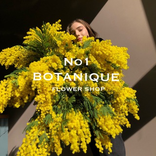 Логотип @botanique_no1 - botanique no1