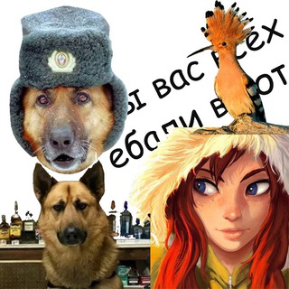 Логотип @botebalvasvrot - Цитаты великих ботов