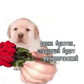 Логотип @botsss_fnaaf - пиздец