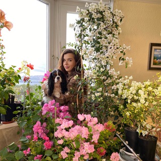 Логотип @bougainvillea_elena - Bougainvillea_elena_