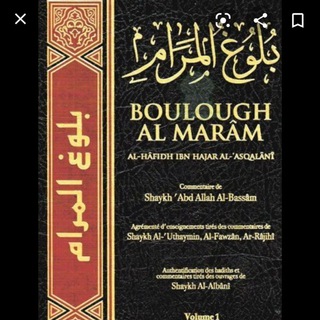 Логотип @boulougoulidrisskonate - Boulougoul Maraamou Idriss Konaté