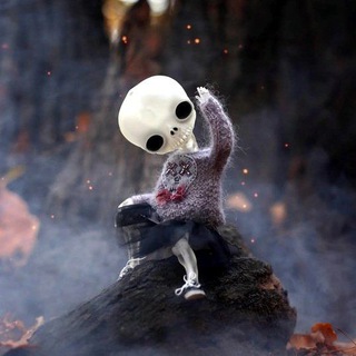 Логотип @boverly88 - Boverly8