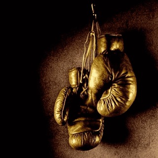 Логотип @boxboets - Ганюшкин Анатолий