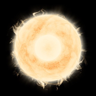 Логотип @boyari_store - BOYARI