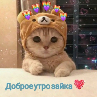 Логотип @bp_tests - Тесты 😎👍