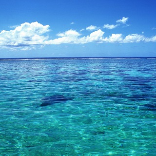 Логотип @bpd_channel - Пограничное расстройство личности