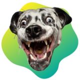 Логотип @bqcos - КОСЯК