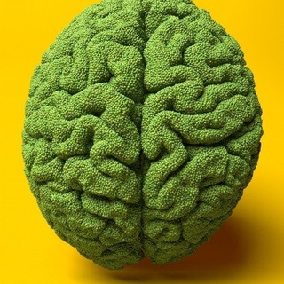 Логотип @brain_blog - Думать подано