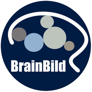 Логотип @brainbild_proposal - БрейнБилд_Заявки_Демонстрация