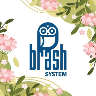 Логотип @brash_system - BRASH SYSTEM 🦉
