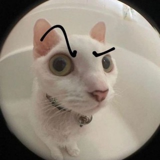 Логотип @bratishkinsquad - Bratishkin Squad