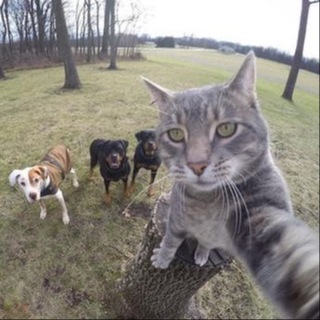 Логотип @bratvavl - бункер Сталина 📺