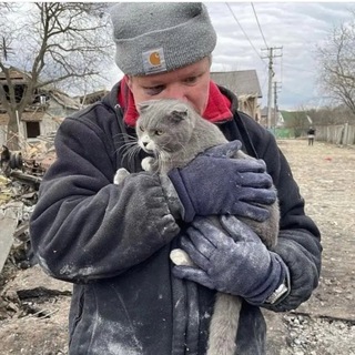 Логотип @bravaglioswarroom - War Room - Russia, Ucraina, NATO