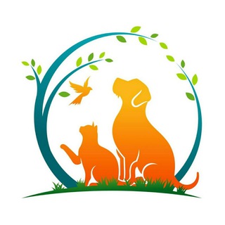 Логотип @bravecto_simparika - Бравекто💊/Симпарика/Animal Healer