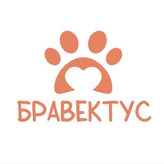 Логотип @bravectospb - БРАВЕКТУС