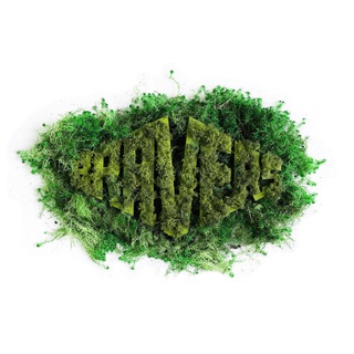 Логотип @braverchat - БРЕЙВЕРС