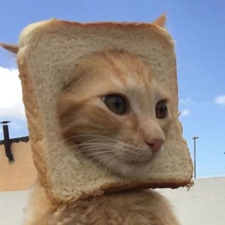 Логотип @brawl_cats - Кошачий замес