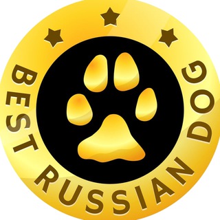 Логотип @brd_online - BEST RUSSIAN DOG ЛУЧШИЕ СОБАКИ РОССИИ