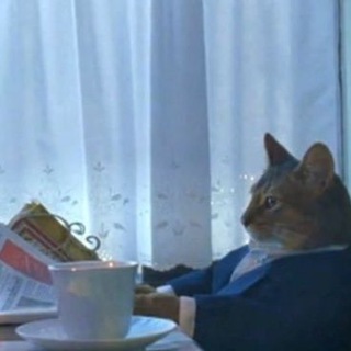 Логотип @breakingcatnews - Breaking cat news