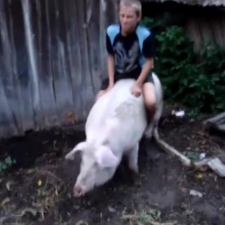 Логотип @breezystuff - Aseeris