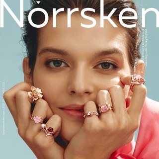Логотип @brendnorrsken - Norrsken Норскен -2023-24 гг