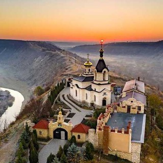 Логотип @briefmd - МолдБриф