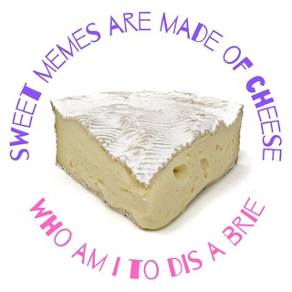 Логотип @brienecamembert - сырные мемы